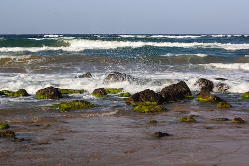 A beach with rocks and seaweed on the shore