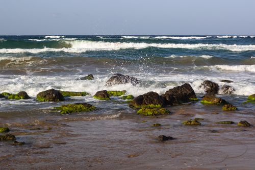 Free Dynamic seascape with waves breaking on moss-covered rocks and a clear blue sky. Stock Photo