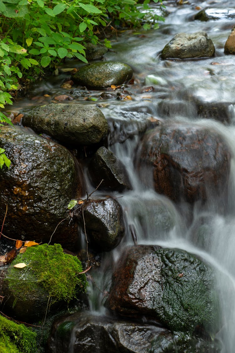 Flowing Water Over Rocks In Stream