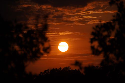 Free A captivating sunset with golden hues and tree silhouettes in the foreground. Stock Photo