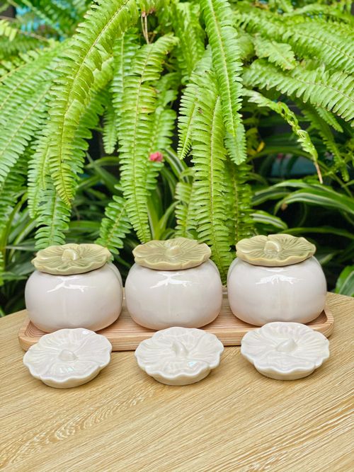 Free Artistic ceramic pots with foliage on a wooden table, Hanoi. Stock Photo