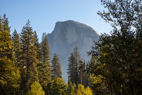 Základová fotografie zdarma na téma hora, Kalifornie, krajina