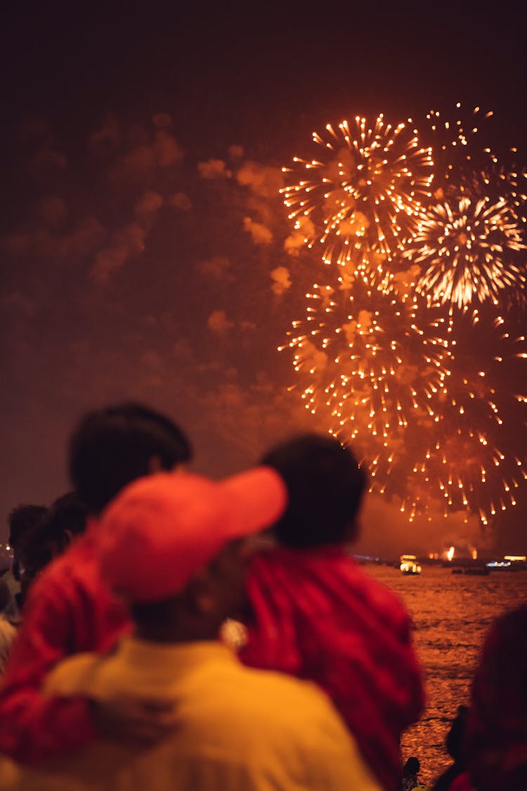 People Watching Fireworks Over Harbor