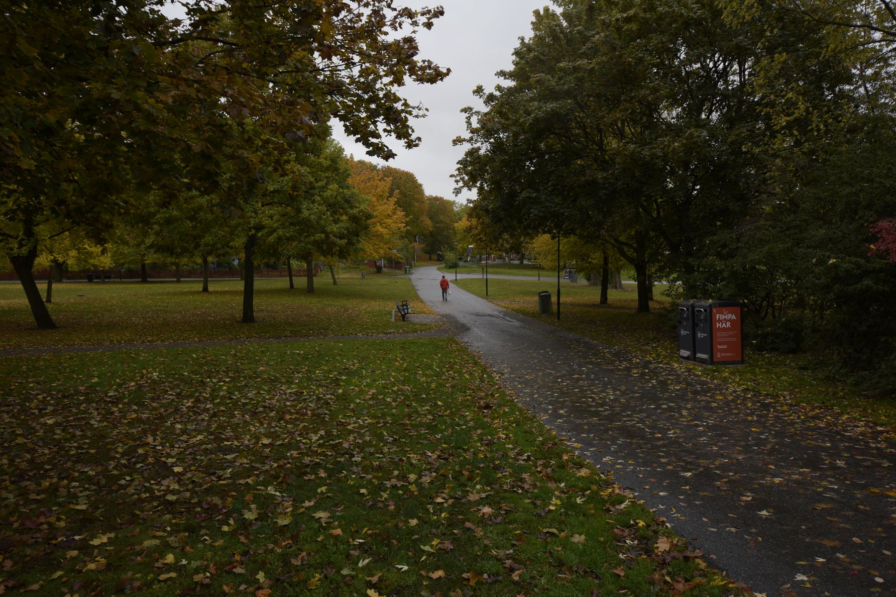 Maidenhead in November: Weather, Prices and What Is On