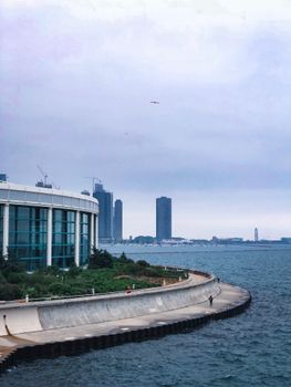 在湖边欣赏芝加哥天际线的风景，现代建筑与蔚蓝湖水相映成趣