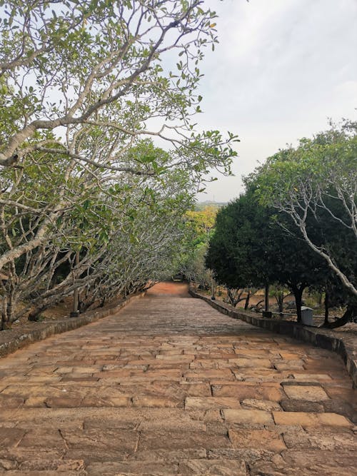 Foto profissional grátis de ancião, anuradapura, arqueológico