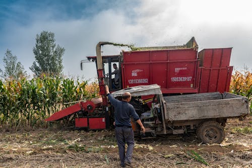 Gratis stockfoto met autorijden, boeren, gozers