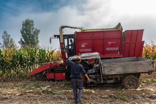 Free stock photo of agriculture, cropland, equipment
