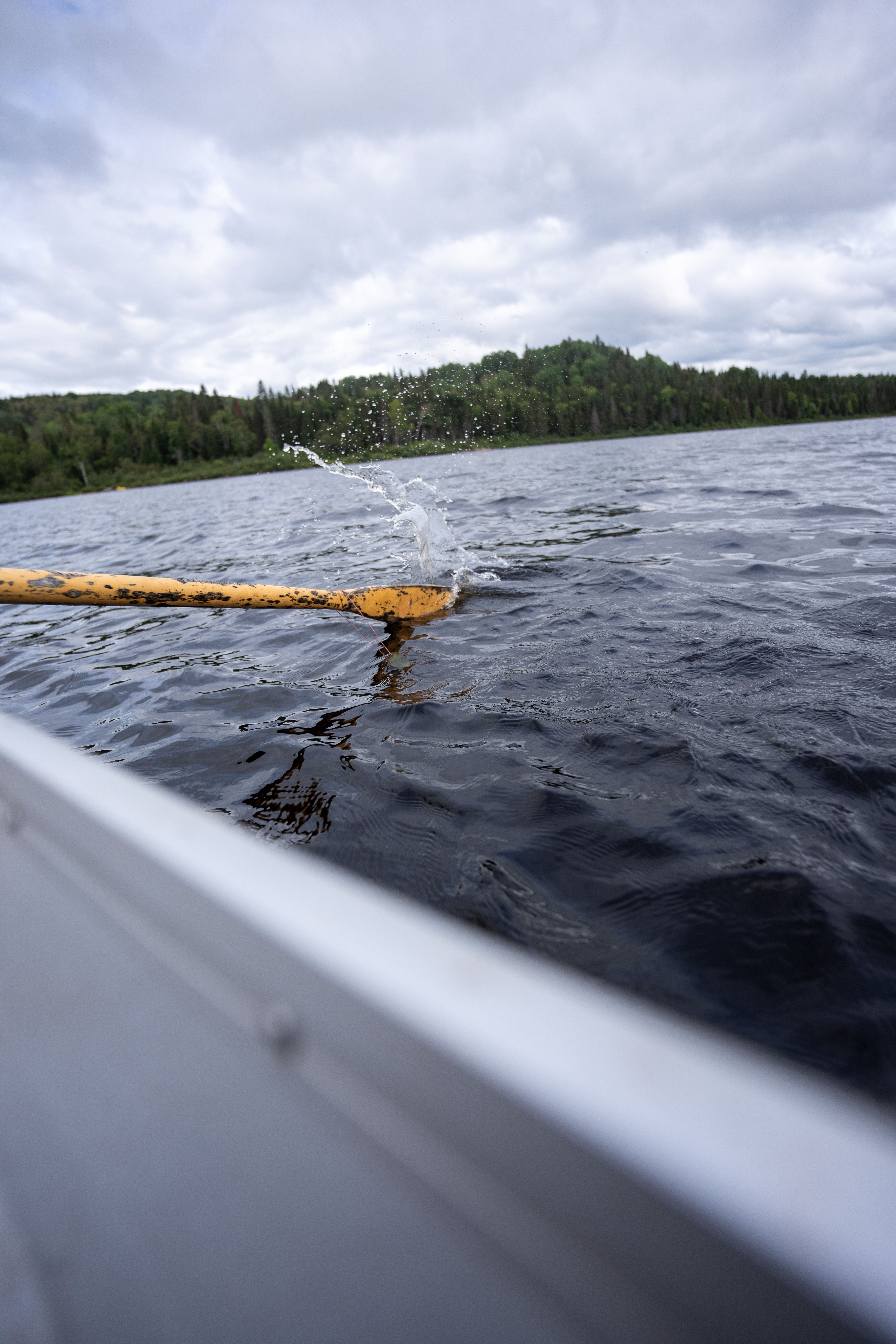 Oar from a Boat · Free Stock Photo