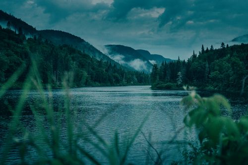 Free Peaceful scene of a mist-covered lake surrounded by dense forest and mountains. Stock Photo
