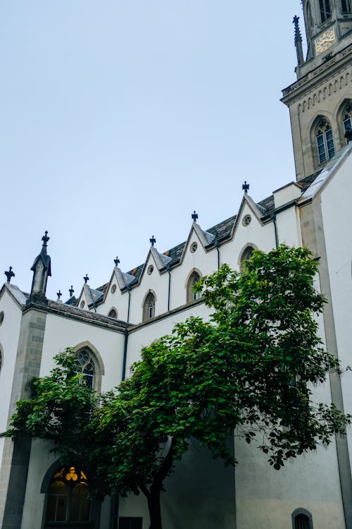교회, 대성당, 수직 쐈어의 무료 스톡 사진