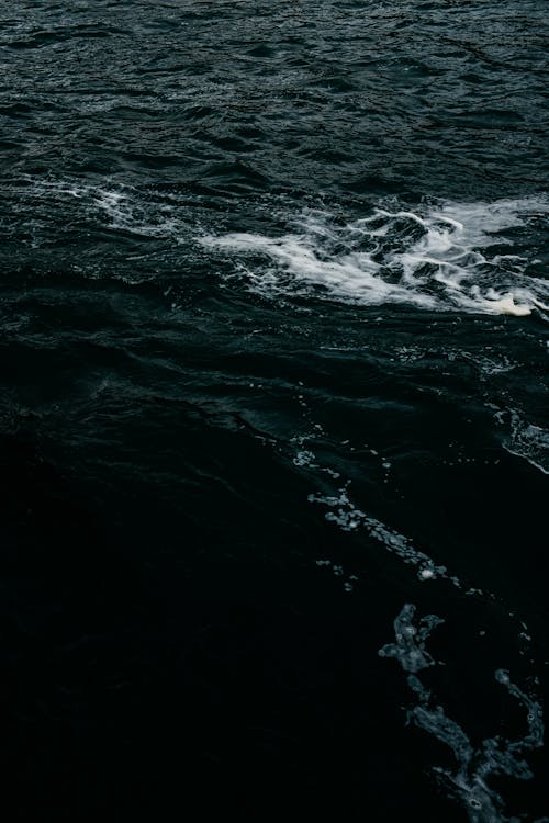 Foto profissional grátis de água, borrifar, mar