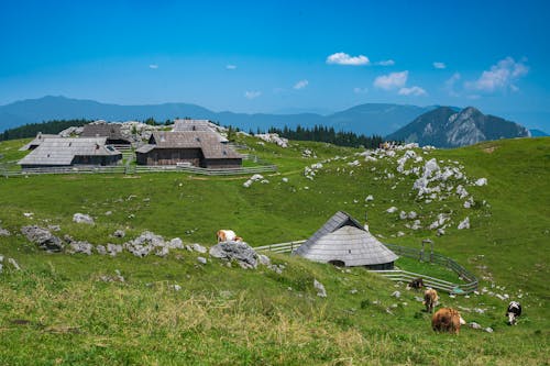 Fotobanka s bezplatnými fotkami na tému budovy, chaty, dedinský