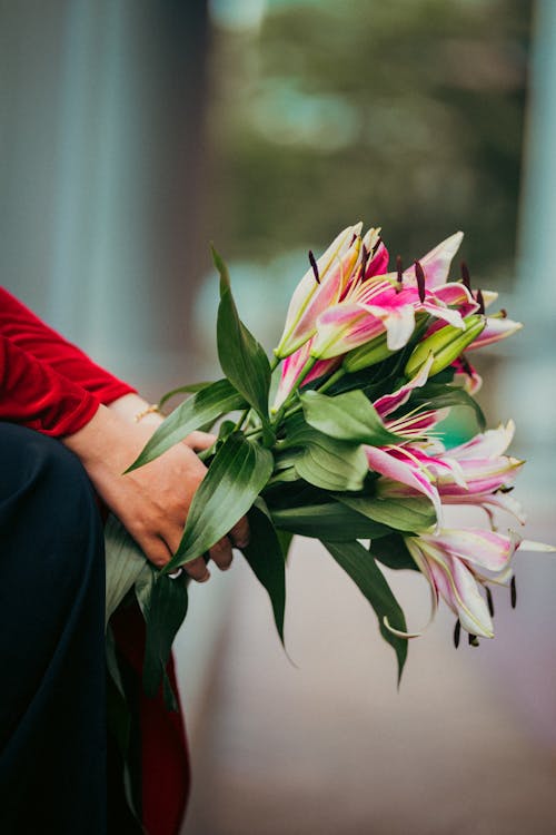 Woman Hand Holding Pink Lilies