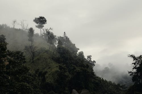 Imagine de stoc gratuită din ceață, munți, peisaj