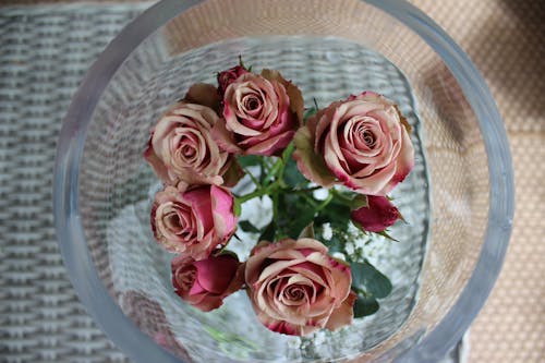 ピンクのバラ 結婚式の花 美しい花の無料の写真素材 ピンクのバラ 結婚式の花 美しい花の無料の写真素材