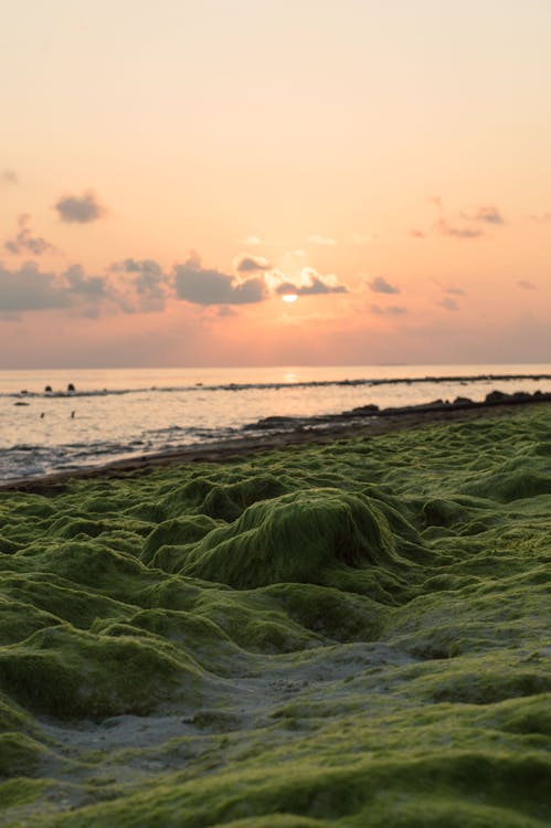 คลังภาพถ่ายฟรี ของ การท่องเที่ยว, ความงาม, ความสวยงาม