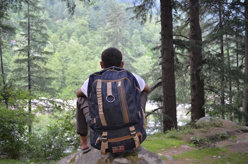 ハイキング, バックパッカー, バックパックの無料の写真素材