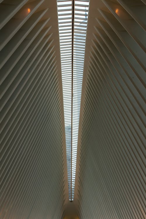 Photo of Ceiling of Building