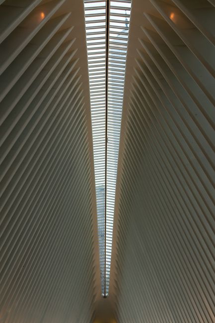 Explore the geometric patterns of a modern interior ceiling with striking symmetry and perspective.
