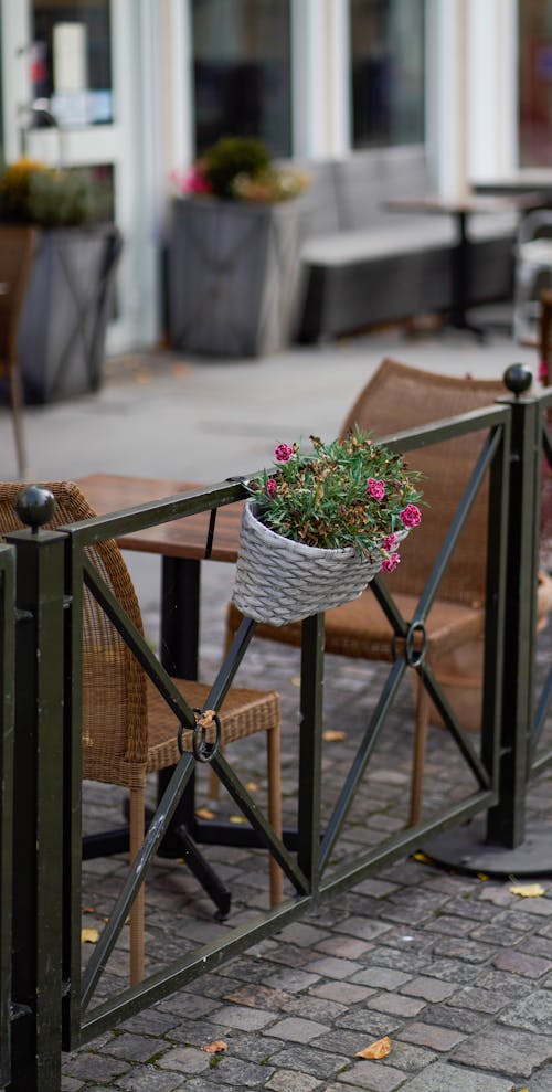 Wicker Basket Flower Container 