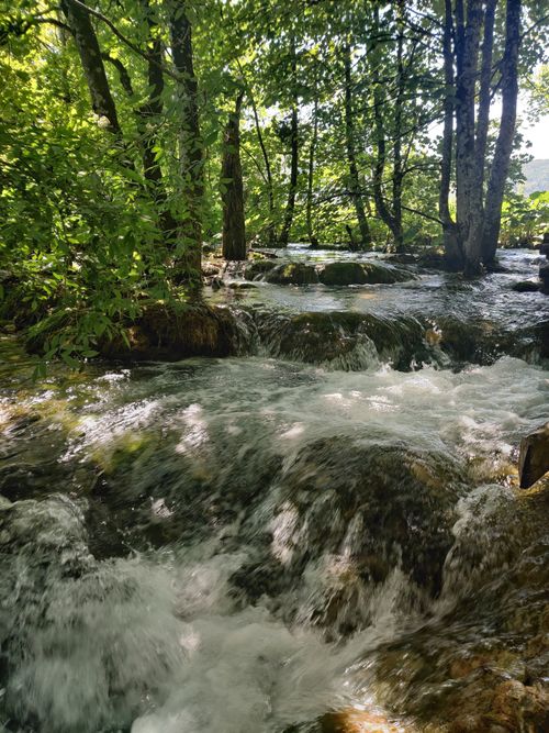Free A beautiful waterfall cascades through lush forest in Croatia's Plitvice Lakes National Park. Stock Photo
