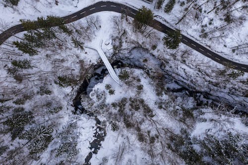 Aerial Photography of a Road in a Winter Forest 