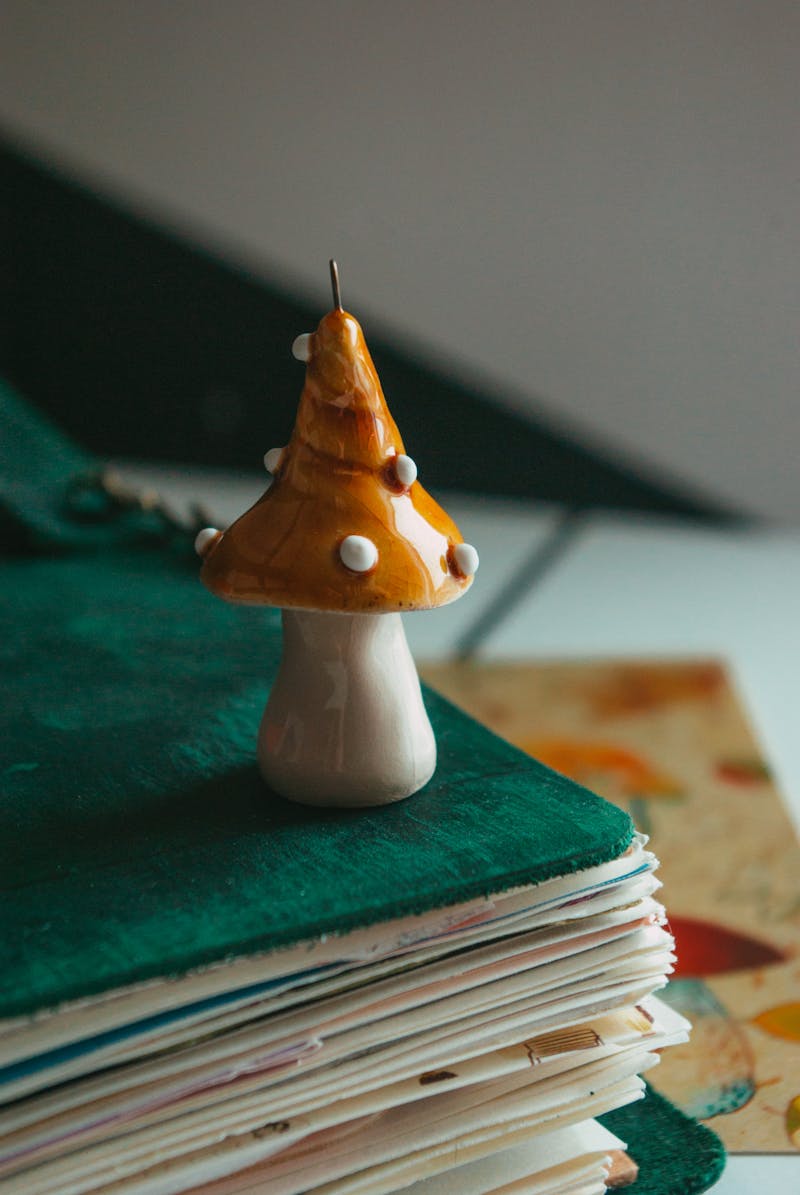 Cute Mushroom Photos, Download The BEST Free Cute Mushroom Stock Photos