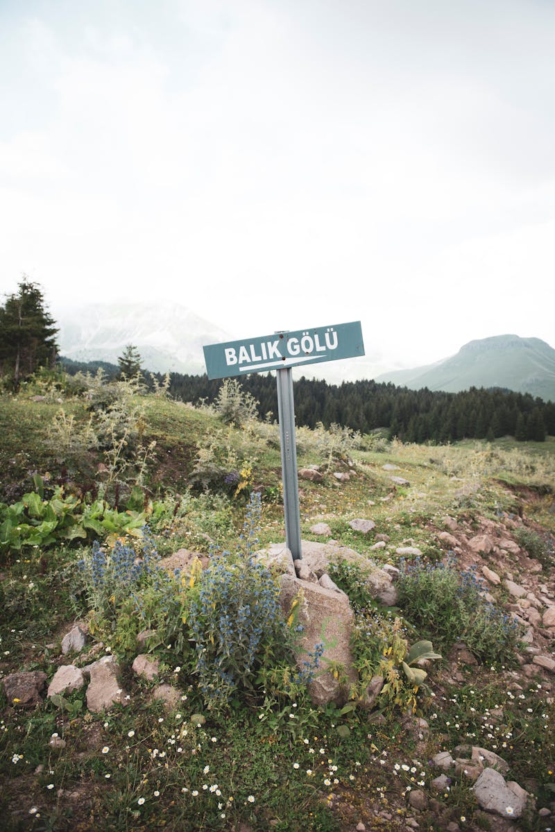 Balik Photos, Download The BEST Free Balik Stock Photos & HD Images