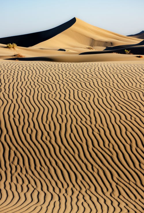 Foto d'estoc gratuïta de desert, desert de varzaneh, duna