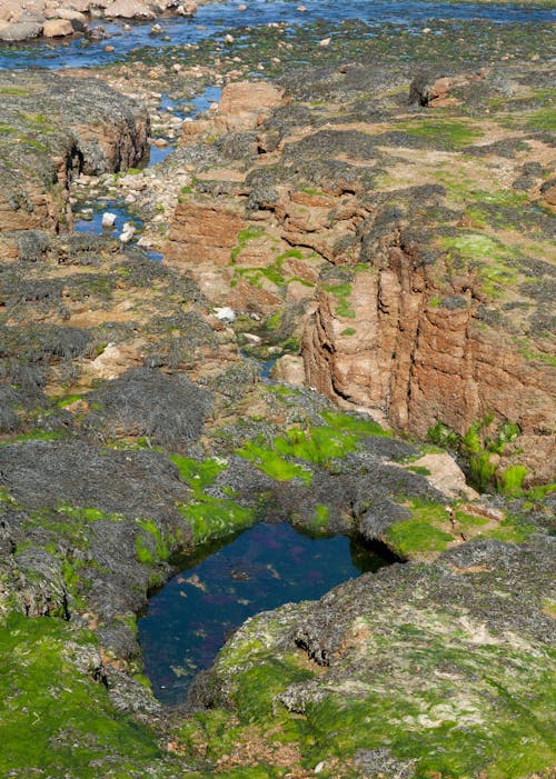 Fotos de stock gratuitas de costa, erosionado, foto con dron