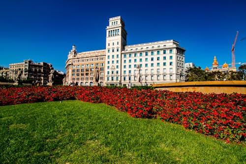 Free stock photo of hotel, hotels