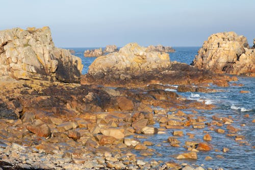 不毛, 岩, 岸の無料の写真素材