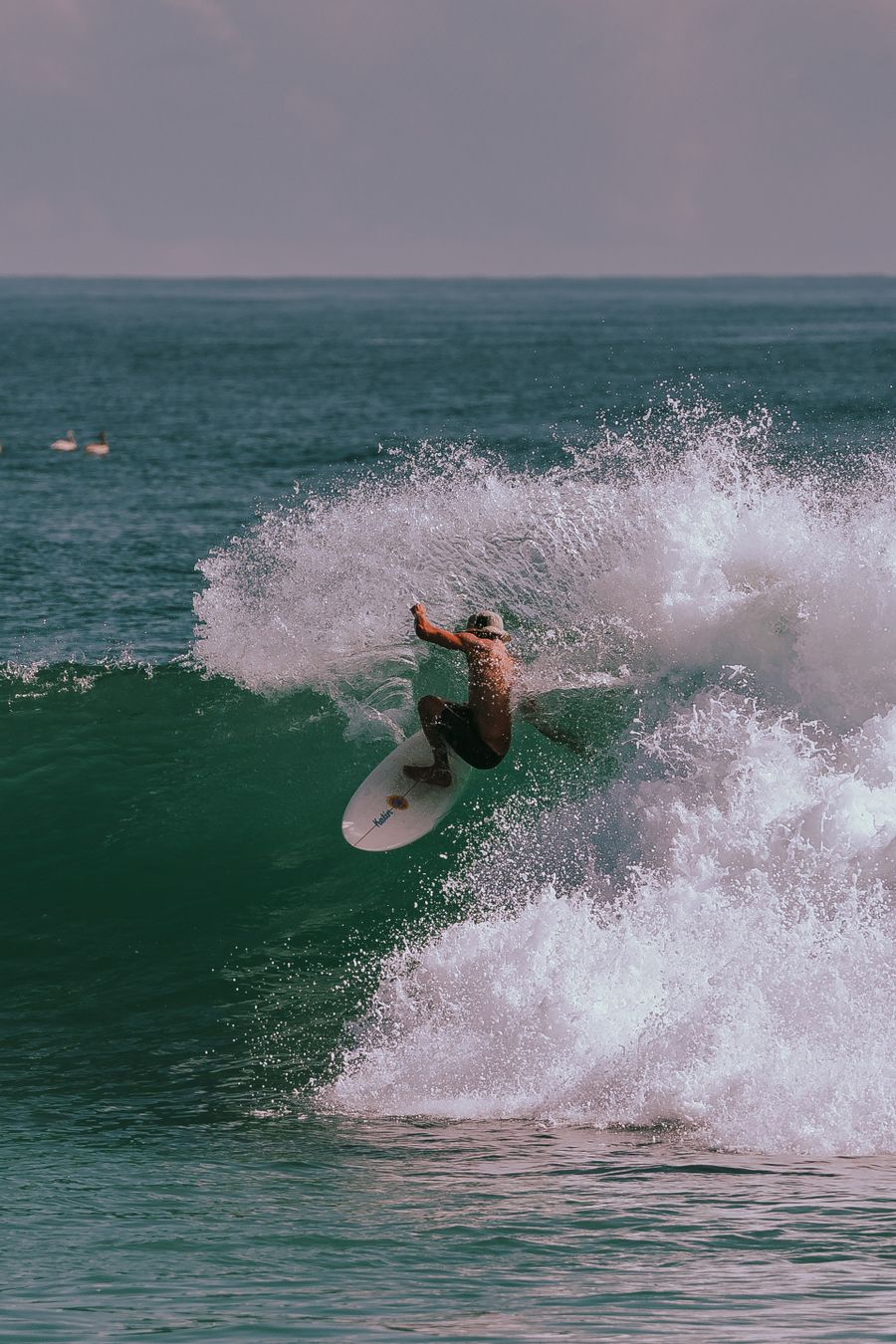 Surf