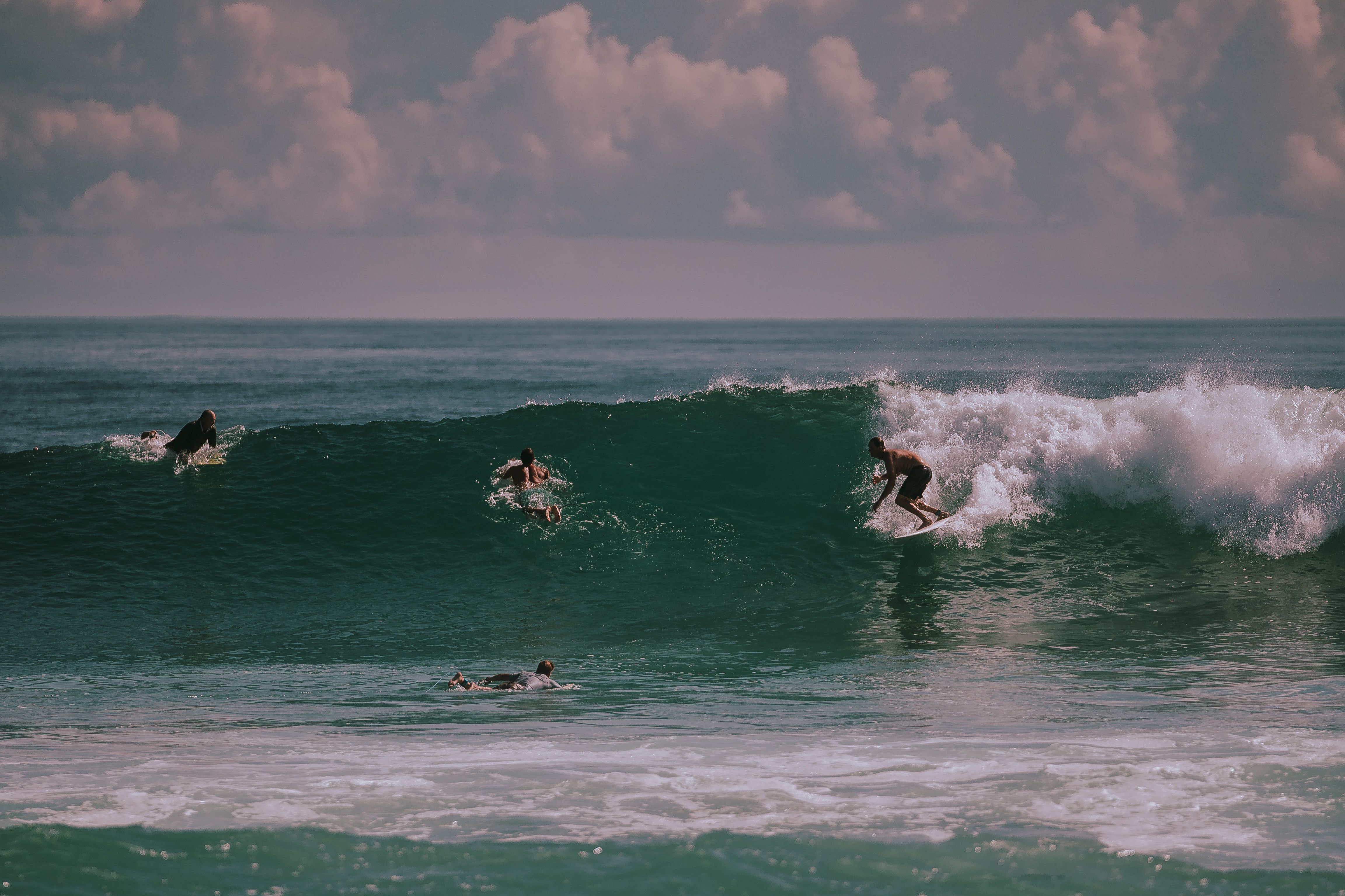 Surfers riding high ocean waves amidst a stunning seascape, capturing the thrill of the sport.