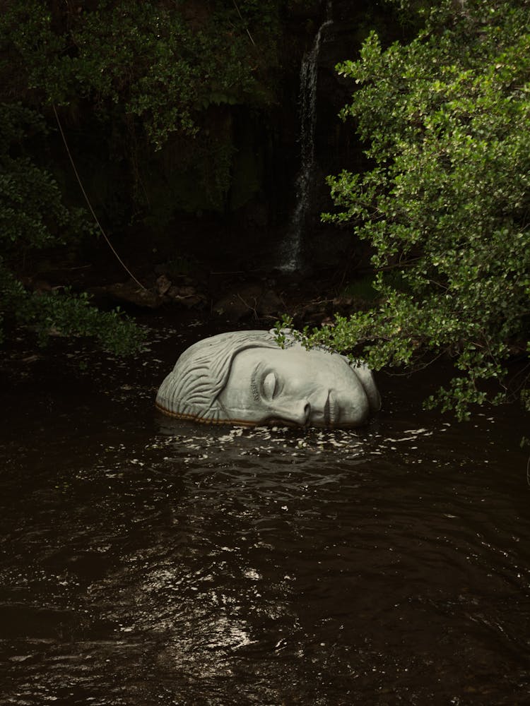 Head Sculpture Lying Down In Stream