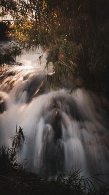Fotomural Una cascada cautivadora fluyendo a través de un exuberante bosque, capturada en tonos suaves y cálidos.