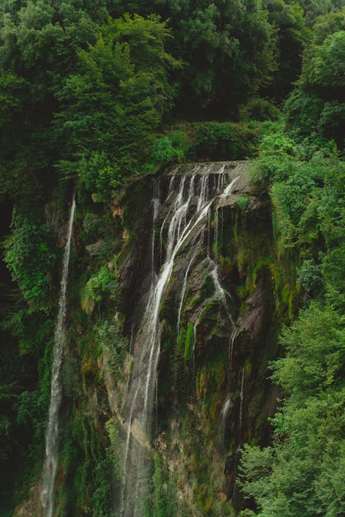 Waterfall in Forest