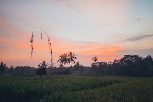 Δωρεάν στοκ φωτογραφιών με αγρόκτημα, αγροτικός, Ανατολή ηλίου Φωτογραφία από στοκ φωτογραφιών