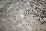 水边沙滩的特写，珊瑚碎片，非常适合夏季主题