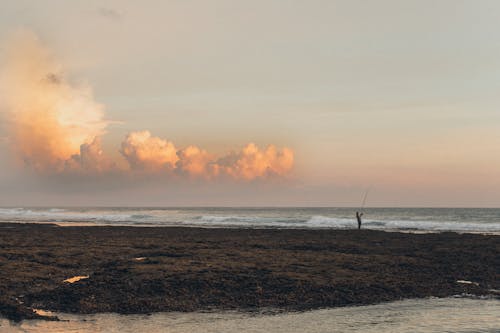 бесплатная Человек, ловящий рыбу на берегу в золотой час Стоковое фото