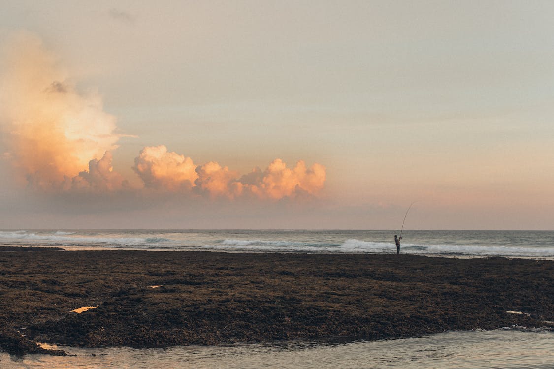 Person Fishing At Shore During Golden Hour