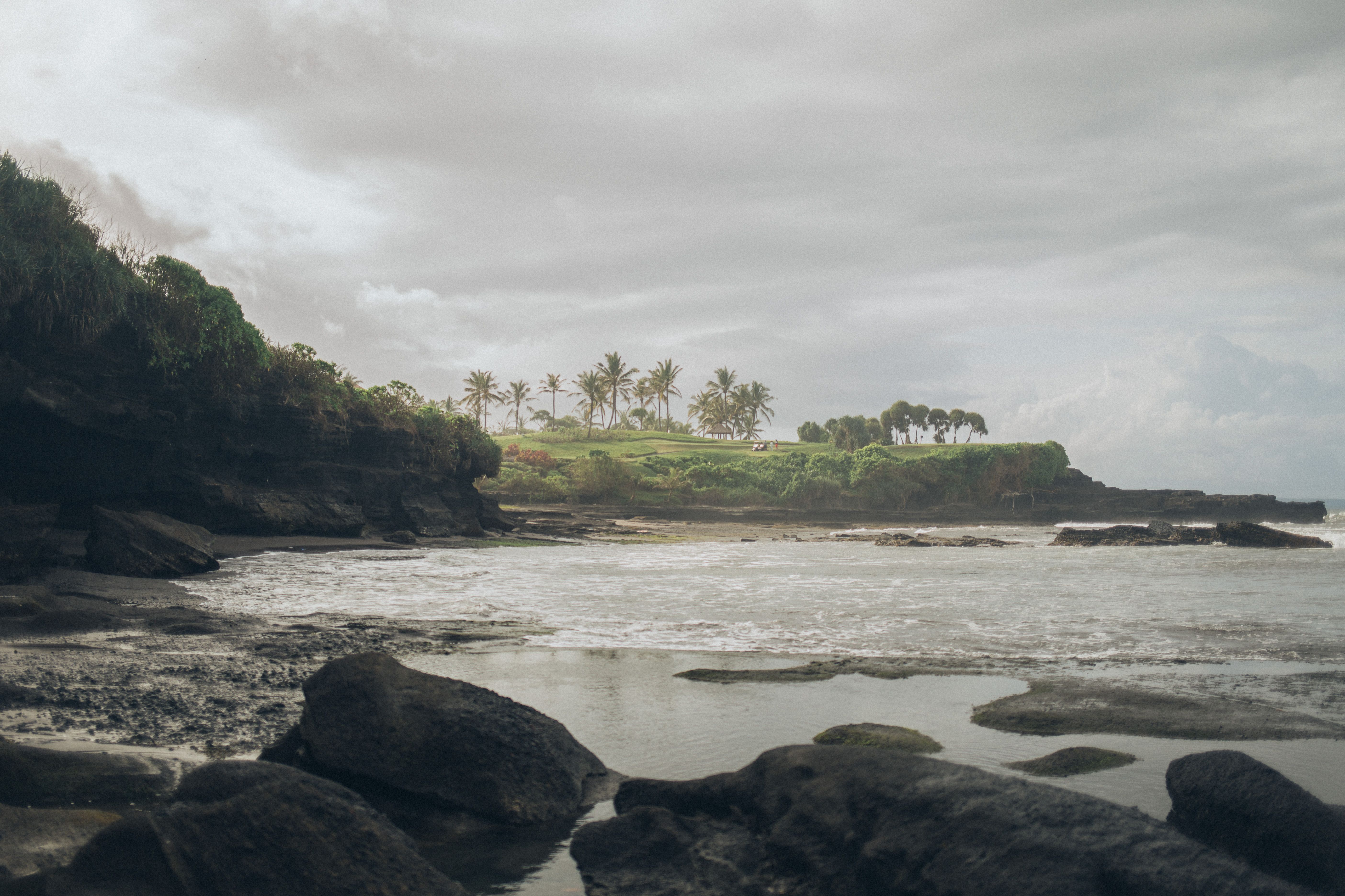 lush volcanic coastline with black sand beach and palm trees