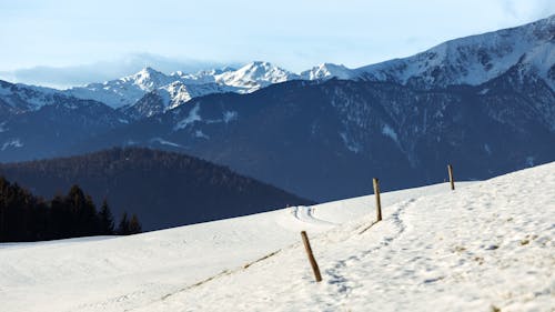 Wooden Posts in Mountains