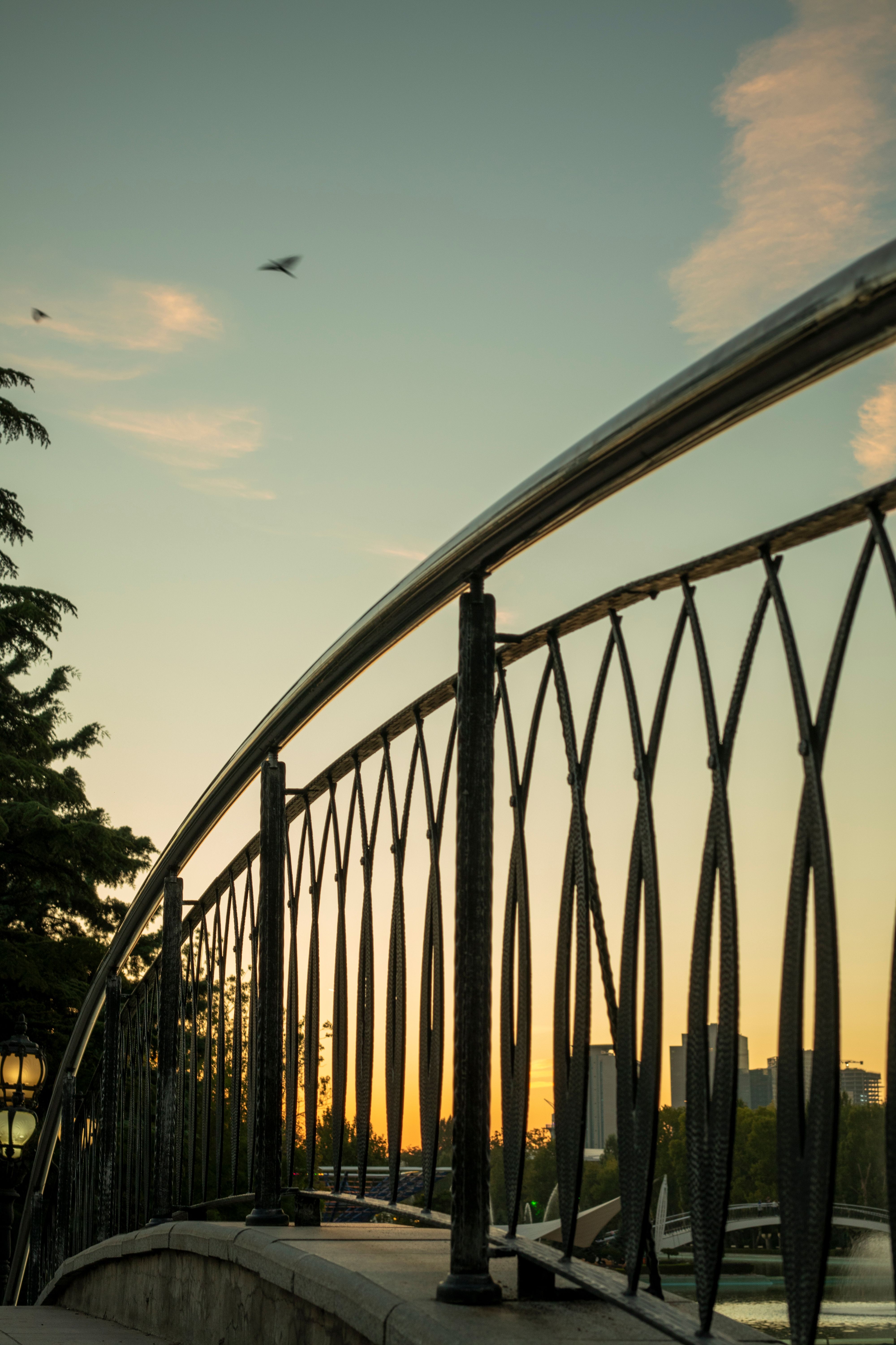 Railing on the Bridge in City at Sunset · Free Stock Photo
