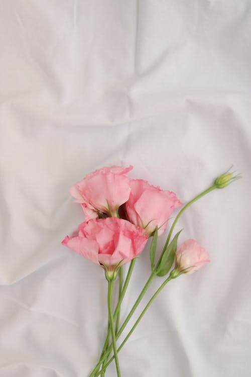 Gratis stockfoto met bloemen, boeket, detailopname