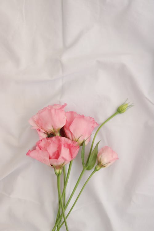 Gratis stockfoto met bloemen, boeket, detailopname