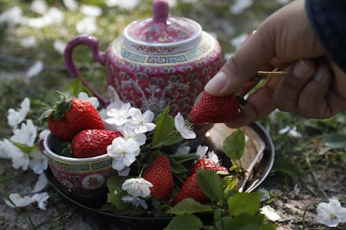 Hand Picking up Strawberry from Tray Lying on Grass