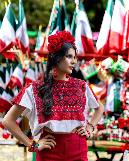 Free Vibrant portrait of a woman in traditional Mexican attire celebrating Independence Day. Stock Photo