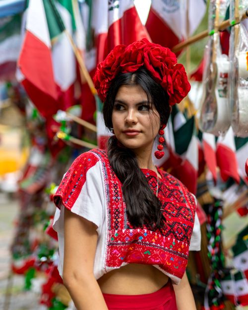 Free A woman in traditional Mexican attire amidst vibrant flags, celebrating cultural heritage. Stock Photo